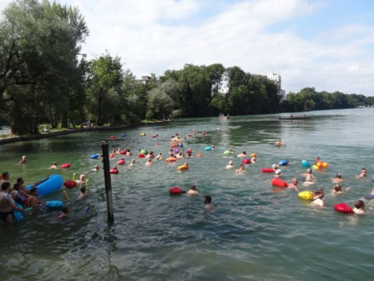 rheinschwimmen